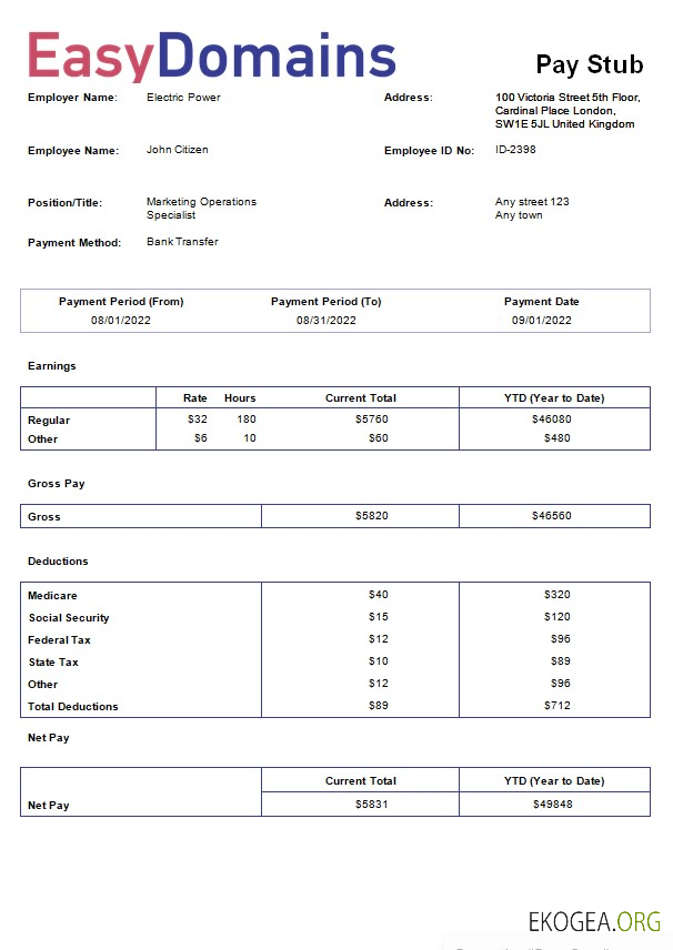 modèle de fiche de paie de la société d'enregistrement de nom de domaine aux formats Word et PDF